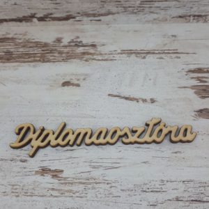 Fa felirat /Diplomaosztóra/ 12x2cm 220.-