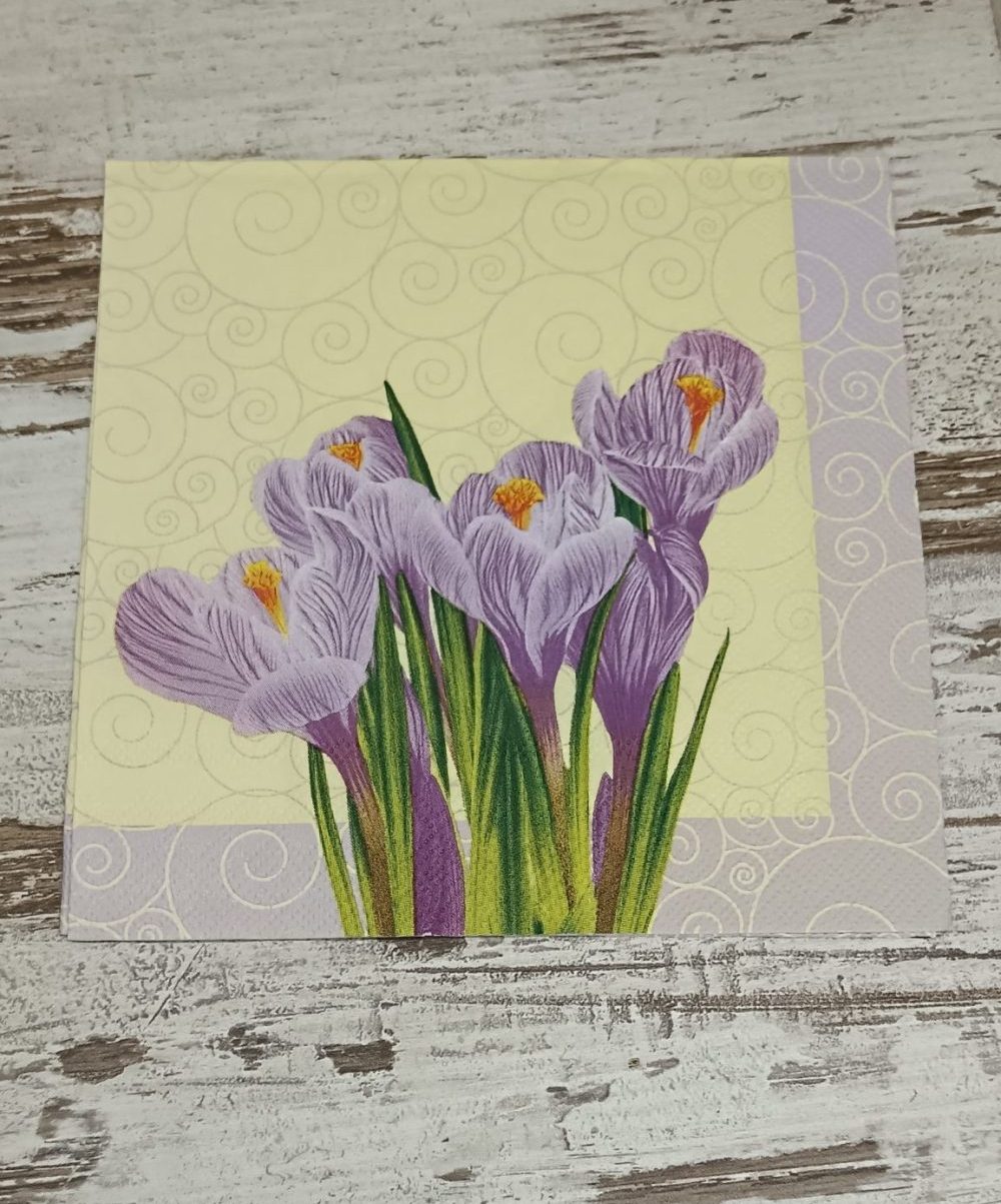 inbound8924036714248563628